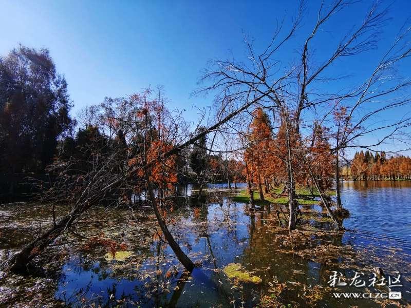 怎么样才能在恋爱中掌握主动权？游戏画面