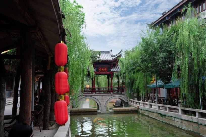 僵尸女友爱爬树